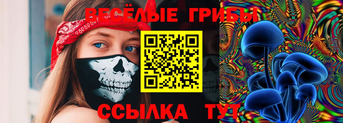 Армавир  наркотики  Вход с VPN  Галлюциногенные грибы Psilocybine cubensis 