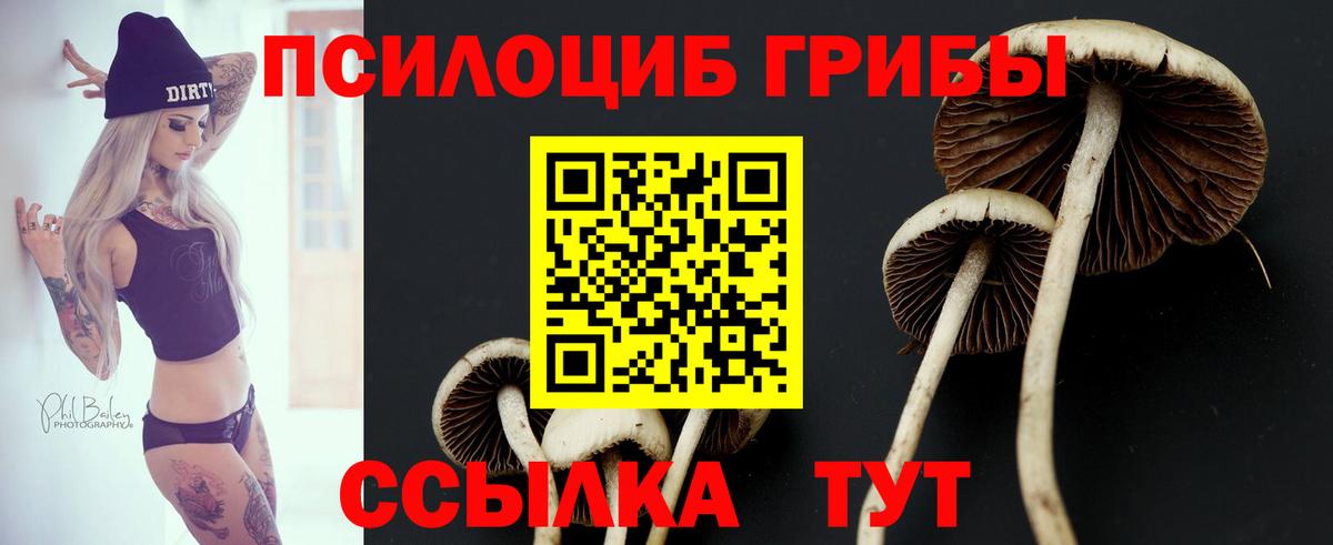 Галлюциногенные грибы ЛСД Армавир
